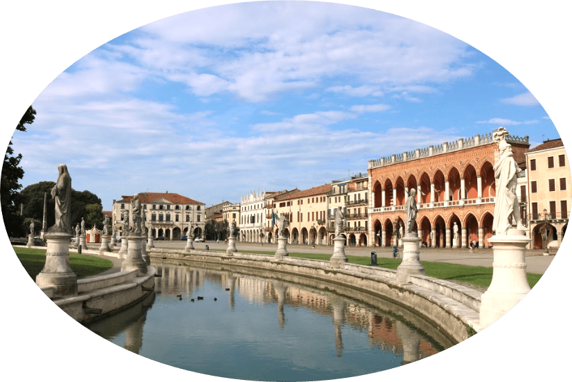 Anaphylaxis definition, overview, and clinical support tool: 2024 consensus report